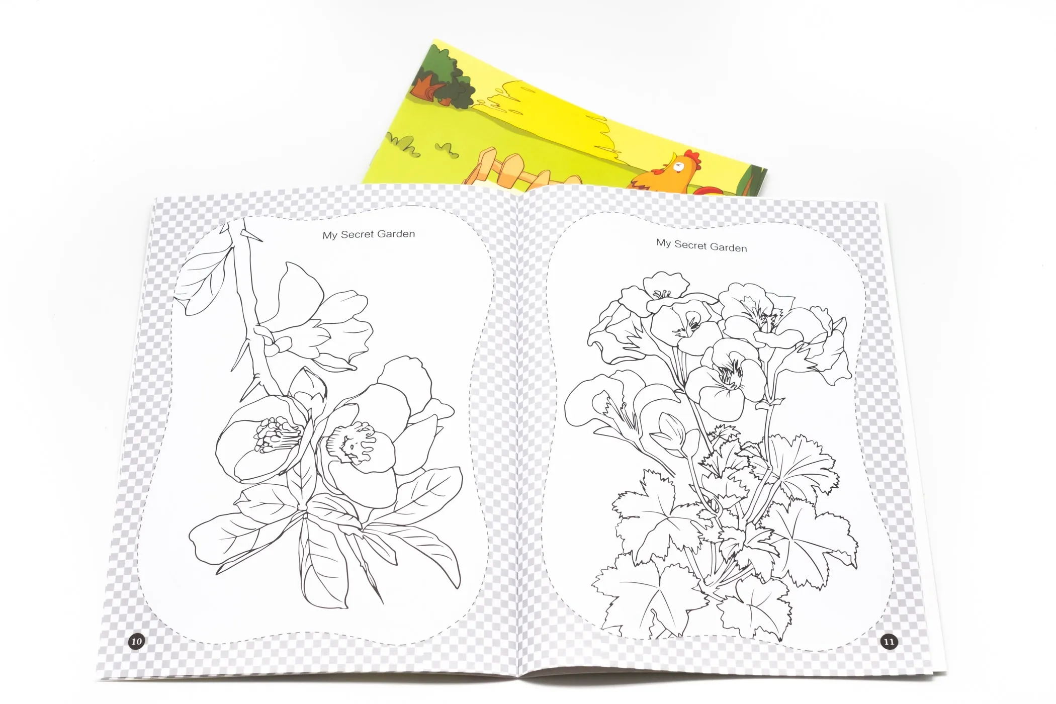 Animals and Plants Colouring Book
