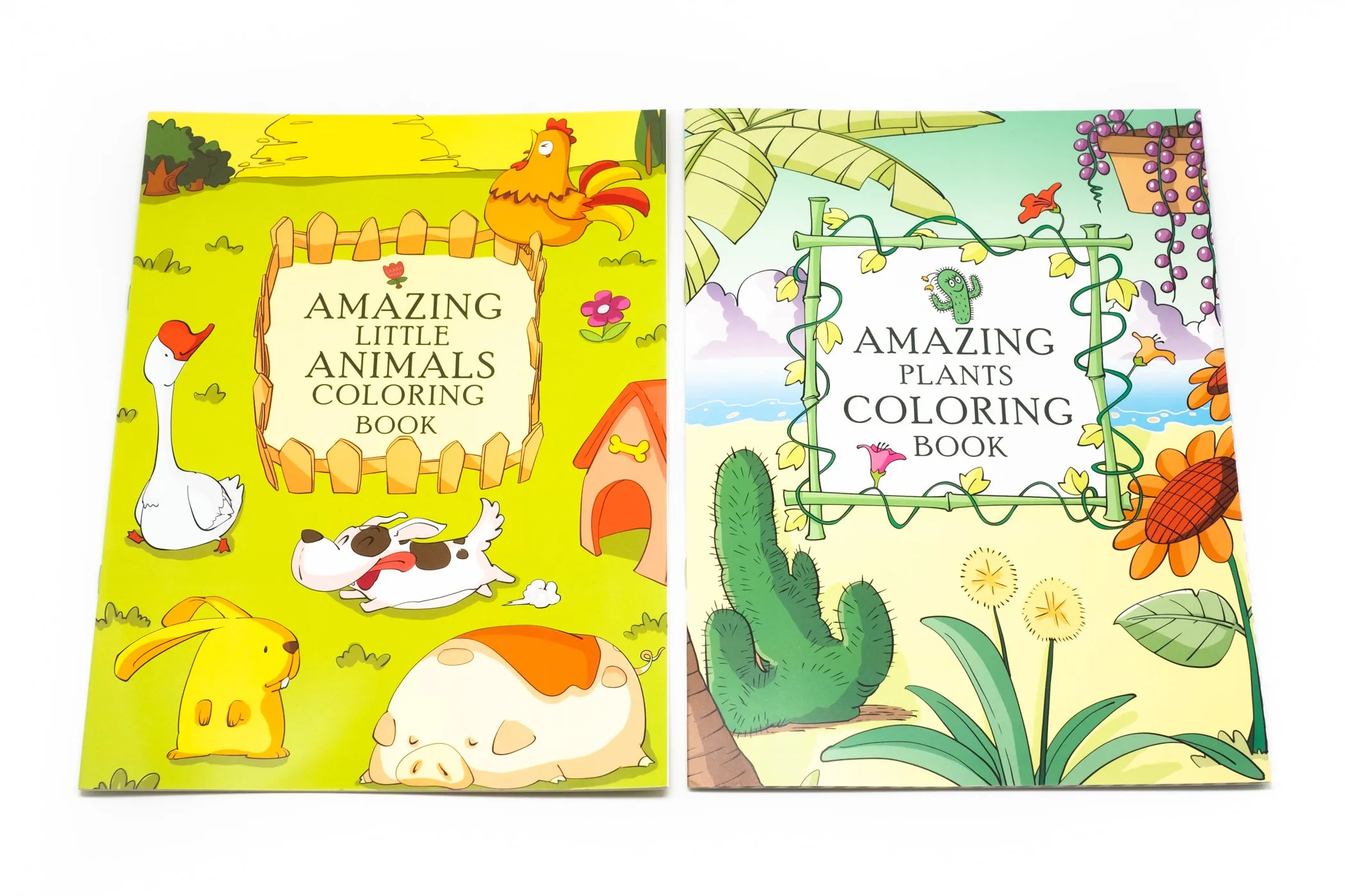 Animals and Plants Colouring Book