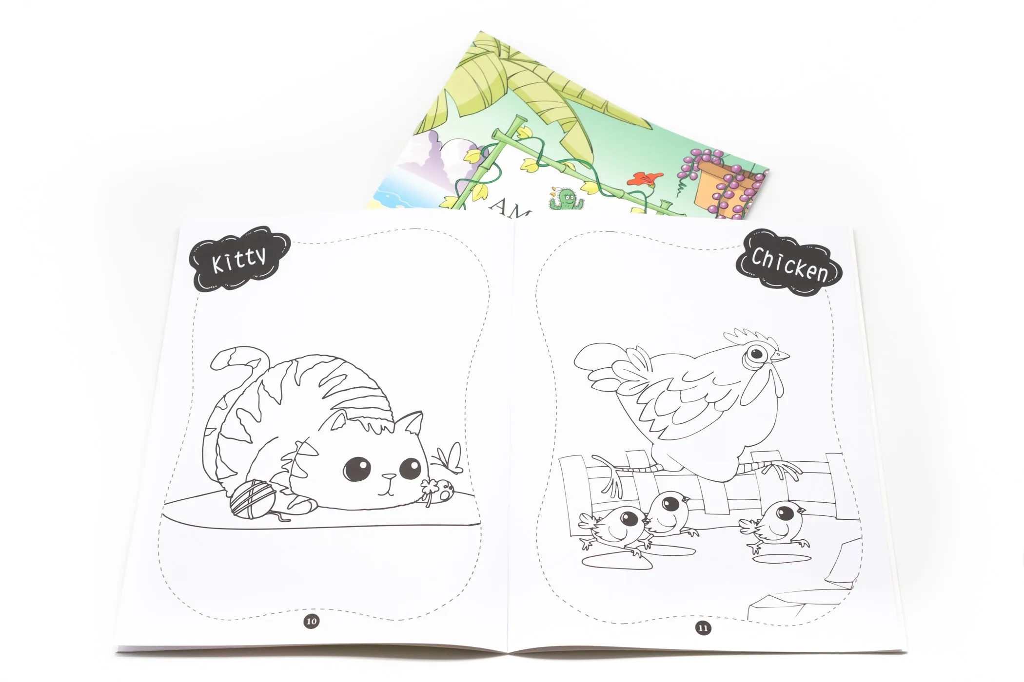 Animals and Plants Colouring Book