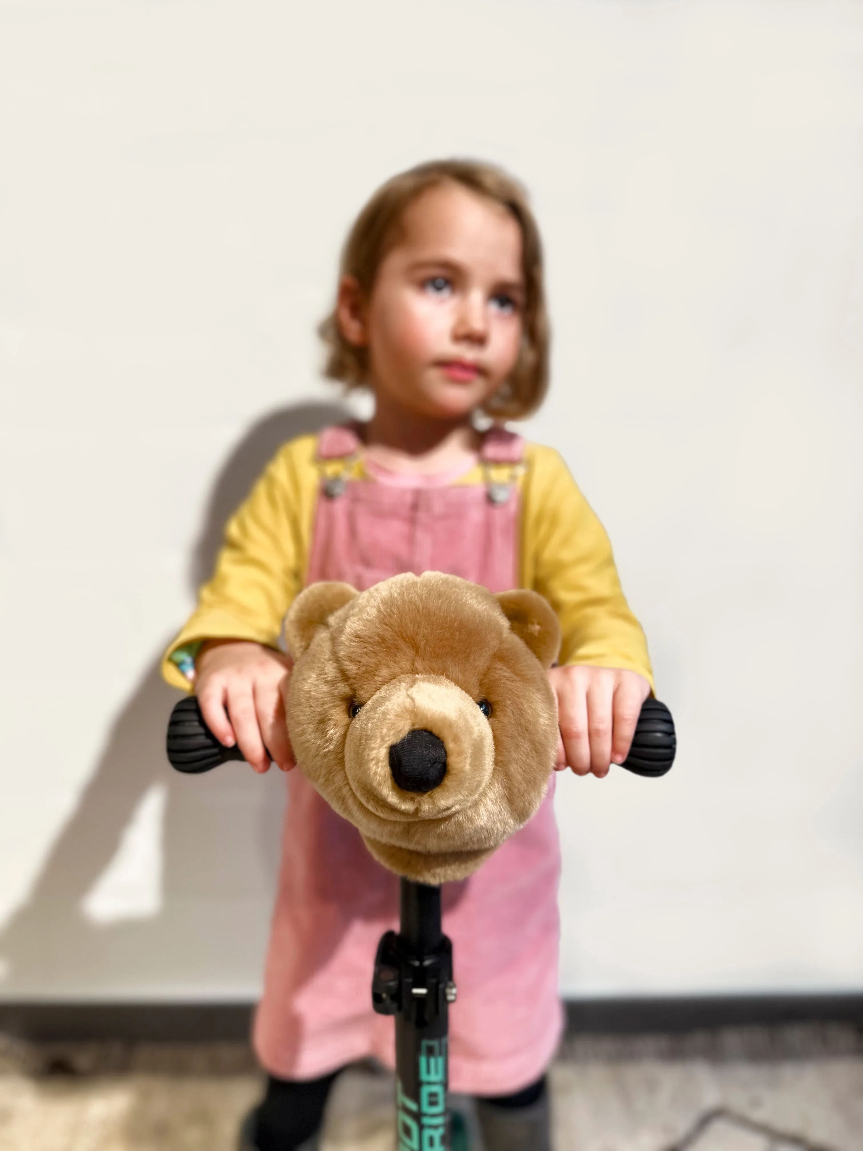 Brown Bear Scooter head