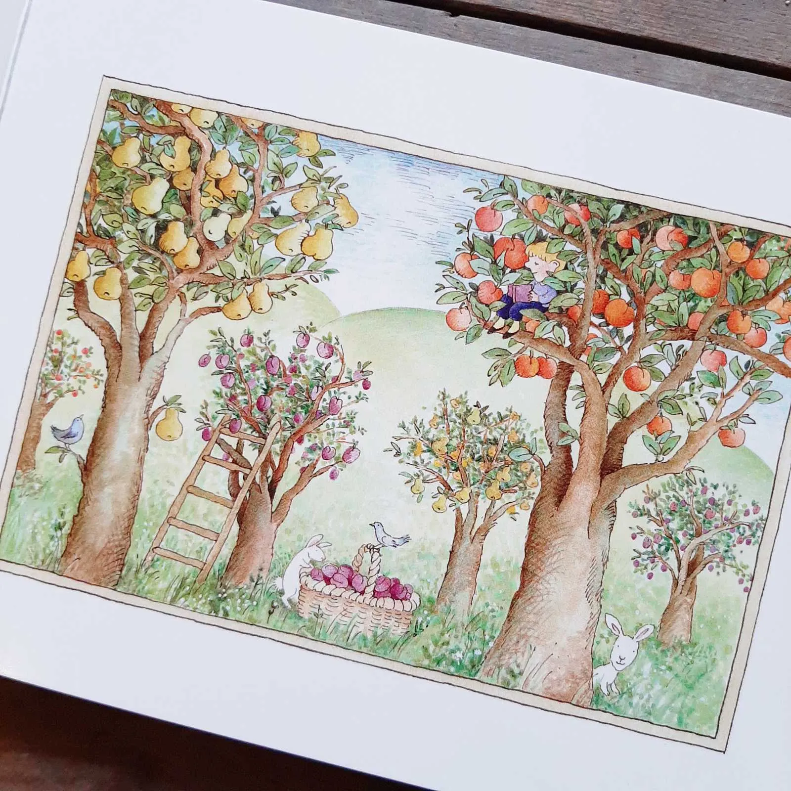 Each Peach Pear Plum - Janet and Allan Ahlberg